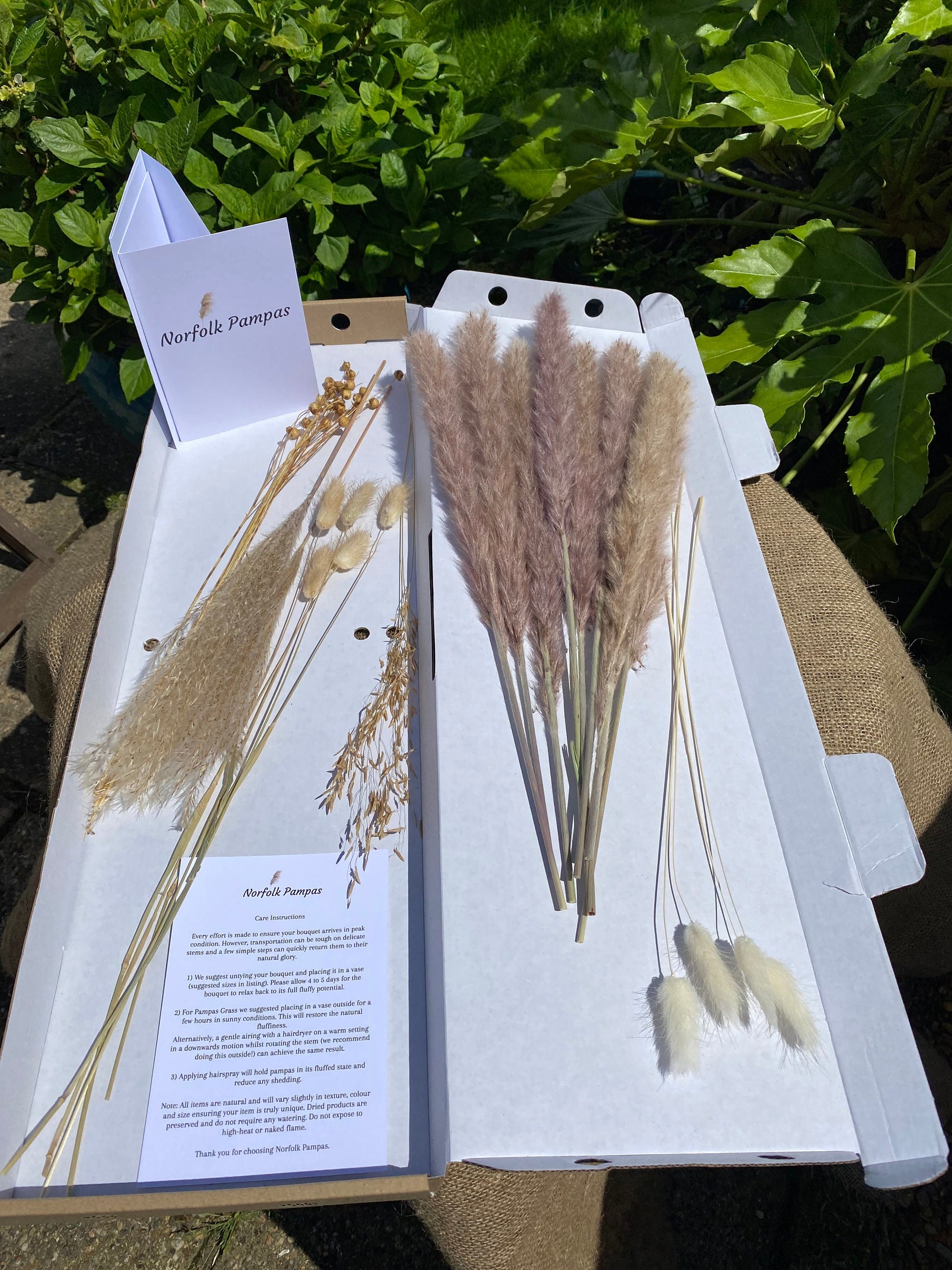 Letterbox Natural Dried Flowers and Pampas Grass - 45cm - Norfolk Pampas