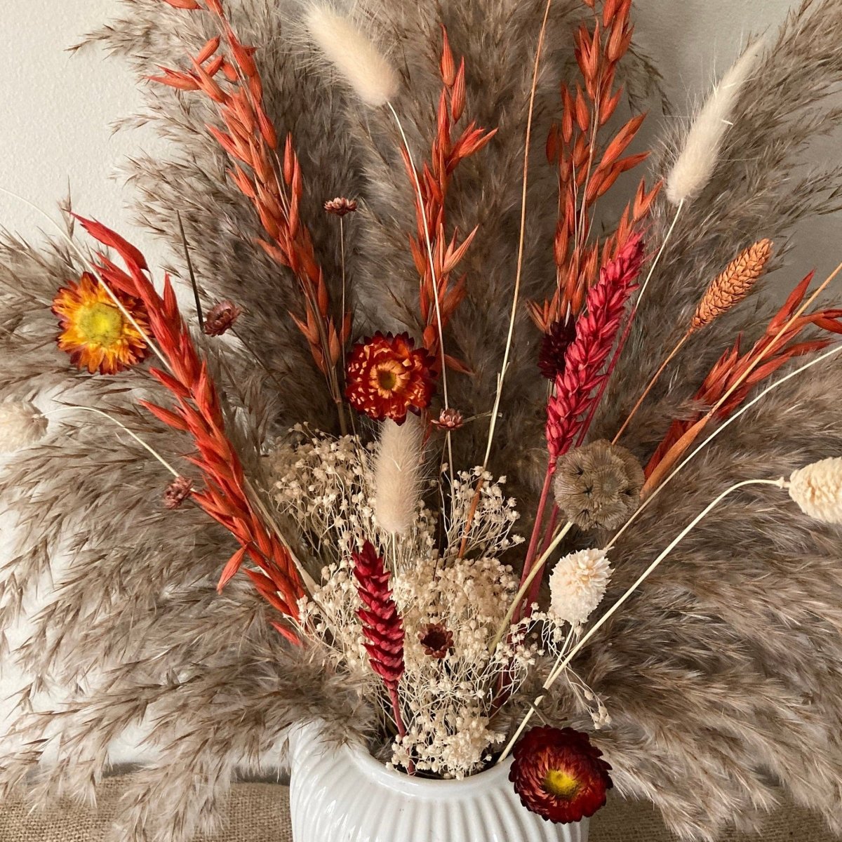 Autumn Pampas Dried Flowers - 60cm - Norfolk Pampas