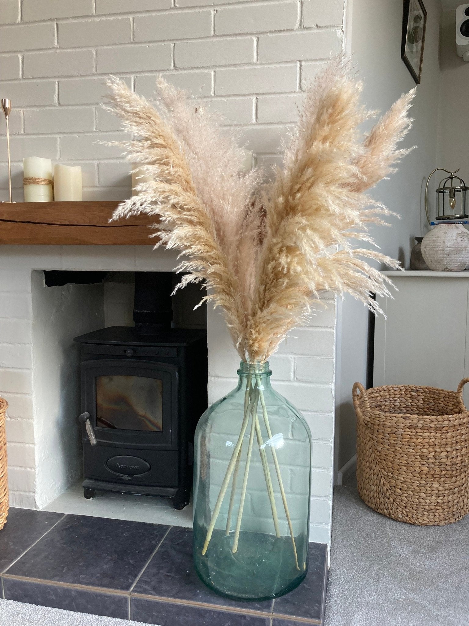 Beige XL Pampas Grass 115cm - Price Per Stem - Extra Fluffy! - Norfolk Pampas