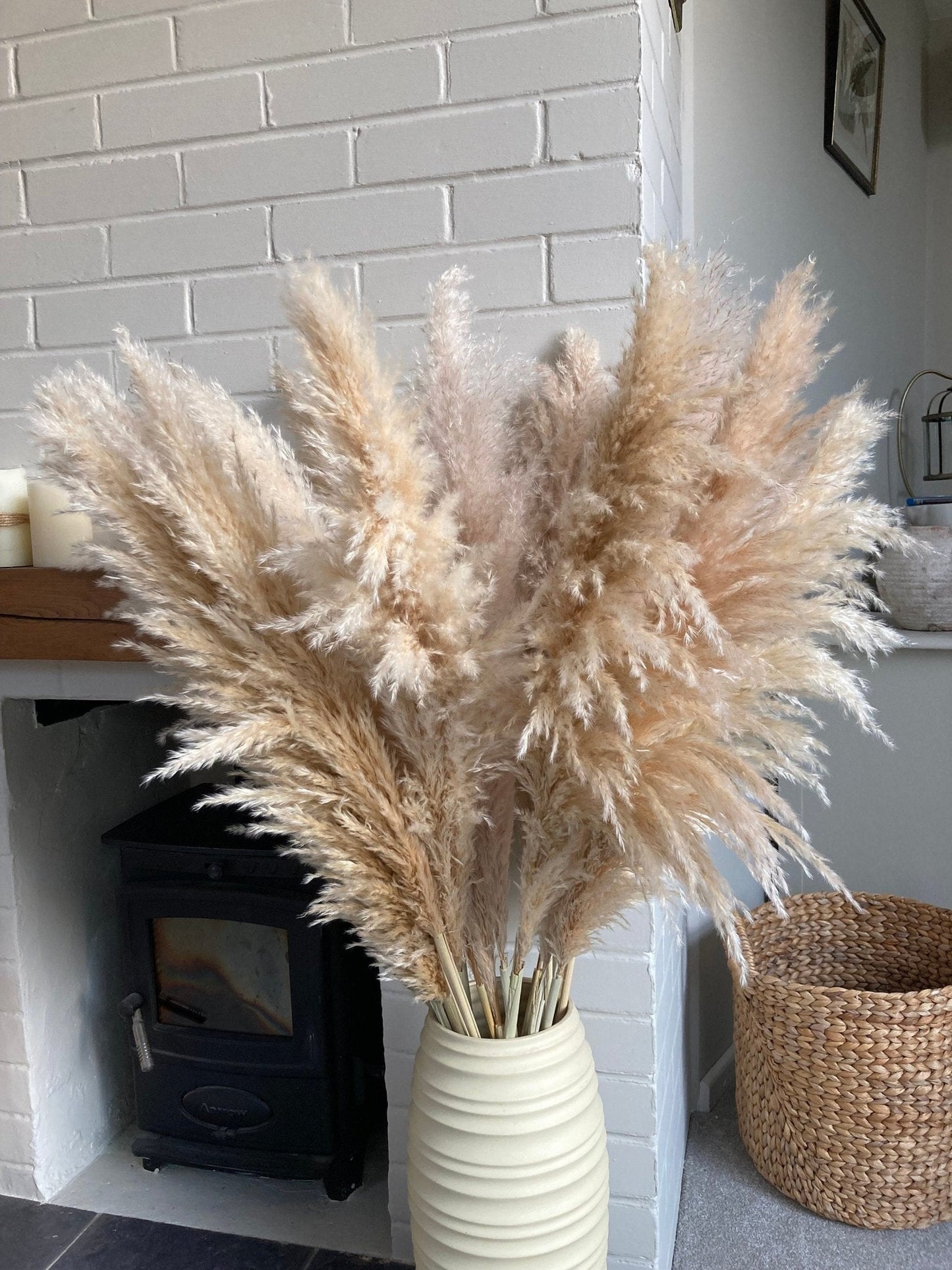 Beige XL Pampas Grass 115cm - Price Per Stem - Extra Fluffy! - Norfolk Pampas