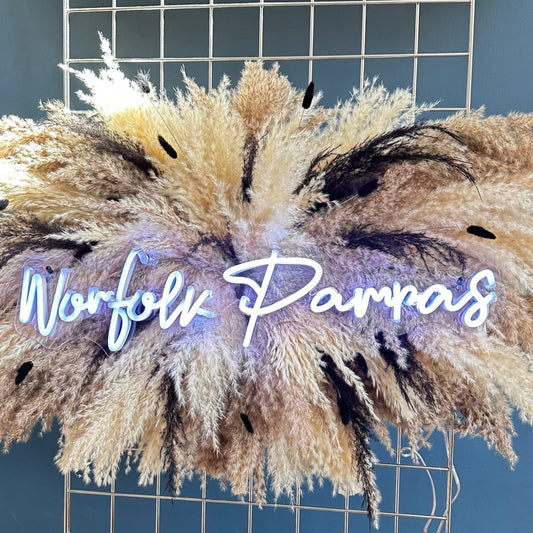 Custom 95cm Beige and Black Pampas Cloud for Samantha Naseeb - Norfolk Pampas