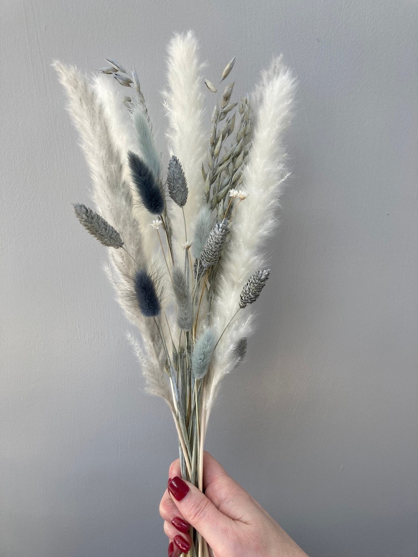 Grey Dried Flower Letterbox Bouquet - 50cm - Norfolk Pampas