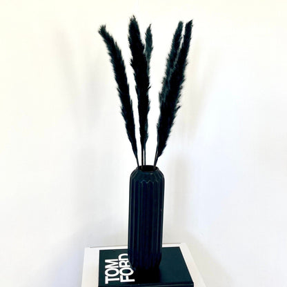 Mini-Pampas Grass Black - 45cm or 60cm - Norfolk Pampas