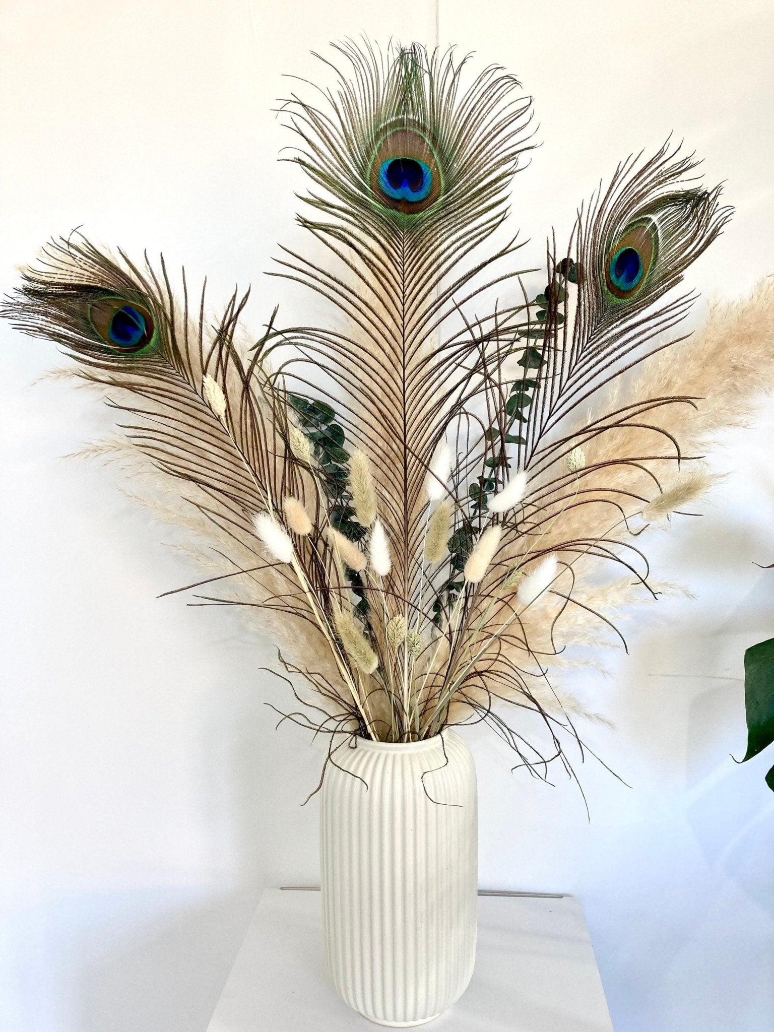 Pampas bouquet with Peacock feathers - 60cm - Norfolk Pampas