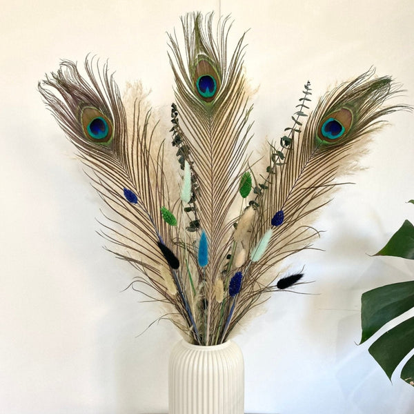 Pampas bouquet with Peacock feathers - 60cm – Norfolk Pampas