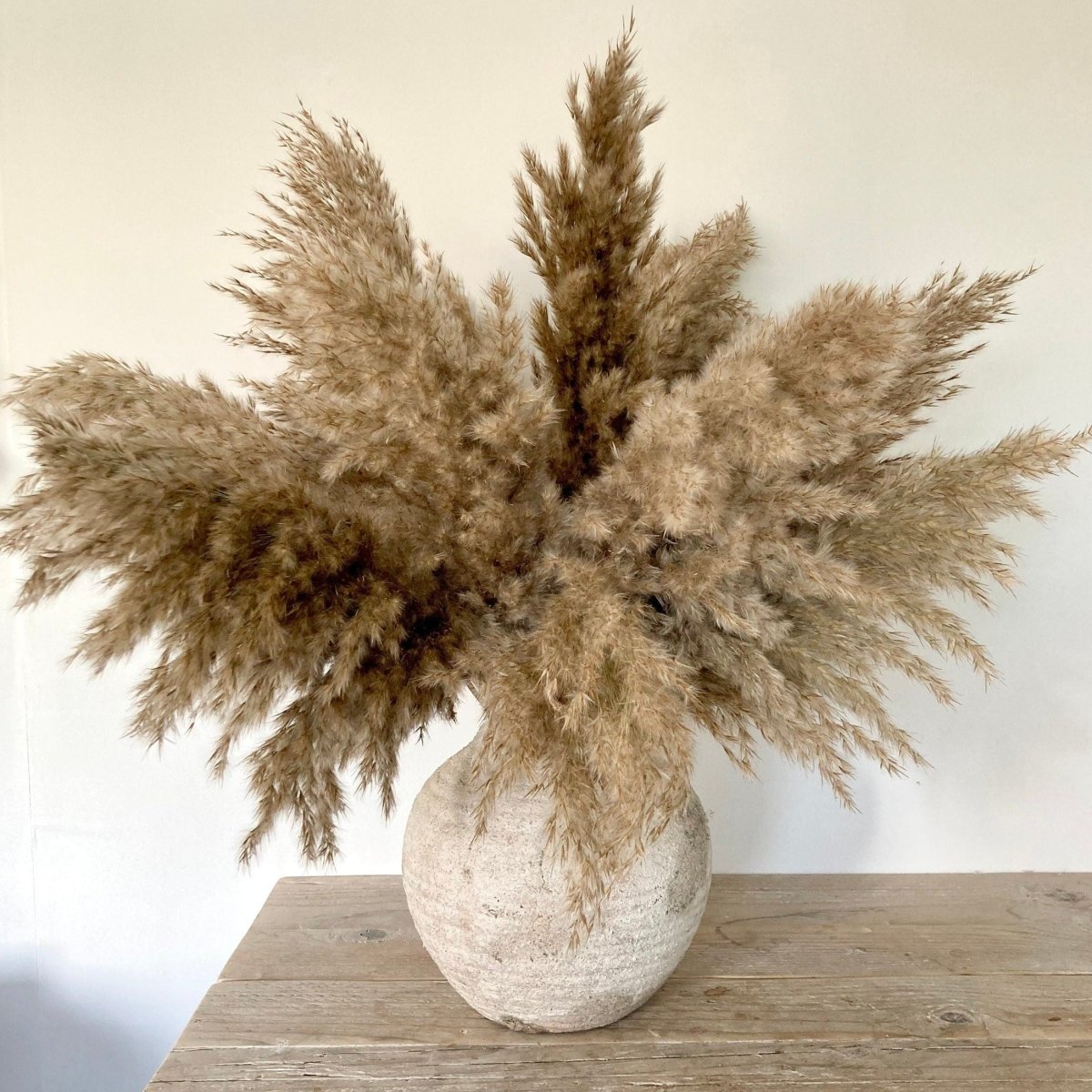 Black Reed Dried Flower Natural Pampas Grass Real Reed Small - Temu