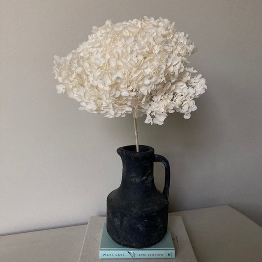 Preserved White Hydrangea - 45cm - Norfolk Pampas